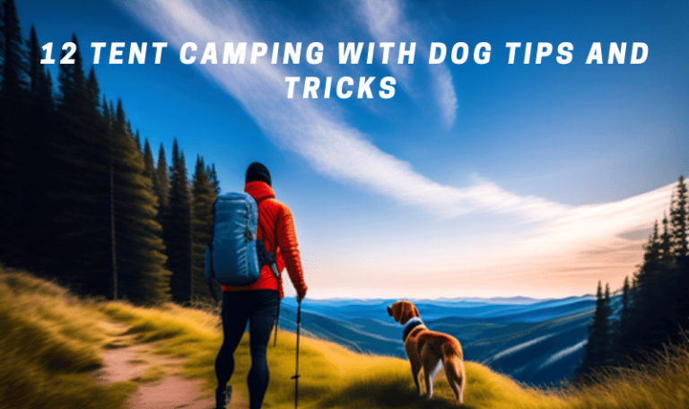 12 Tent Camping With Dog Tips and Tricks
