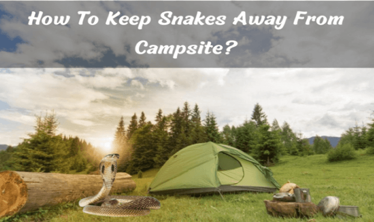 Keep Snakes Away from Campsite! 9 Safety Tips!