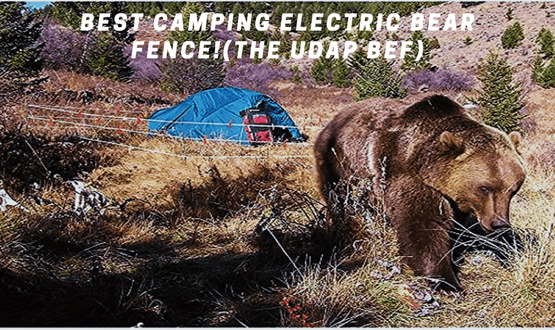 Best Camping Electric Bear Fence!(The UDAP BEF)