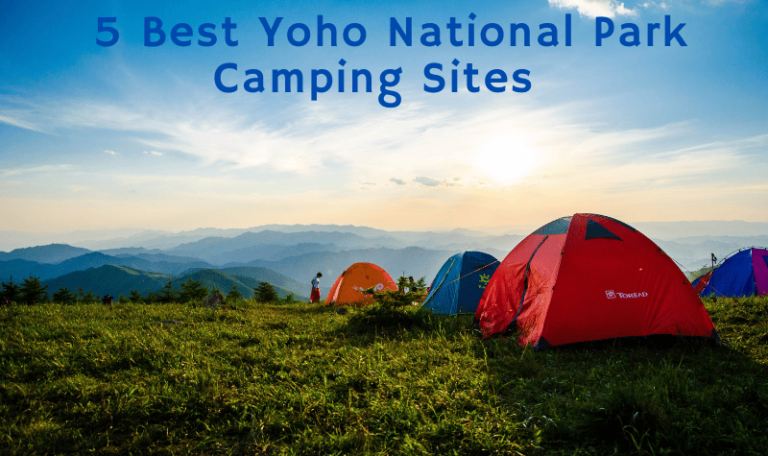 5 Best Yoho National Park Camping Sites