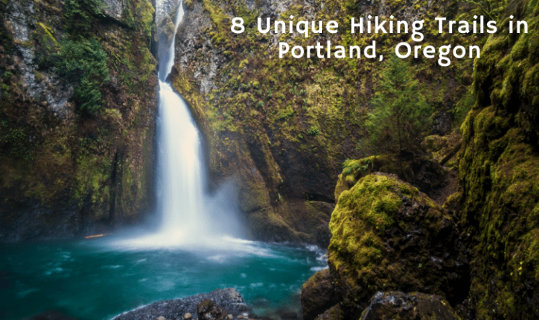 8 Unique Hiking Trails in Portland, Oregon
