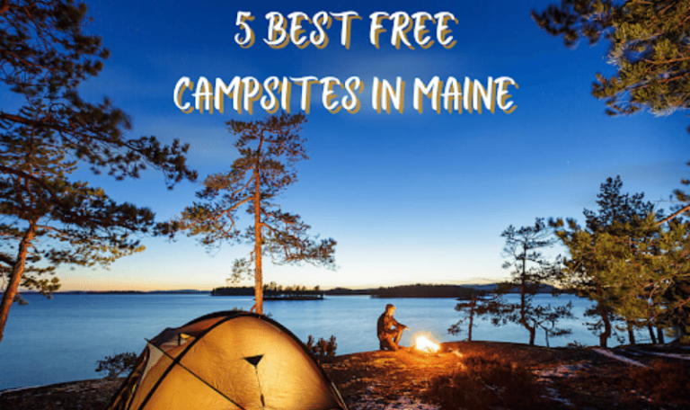 Best Free Camping sites In Maine