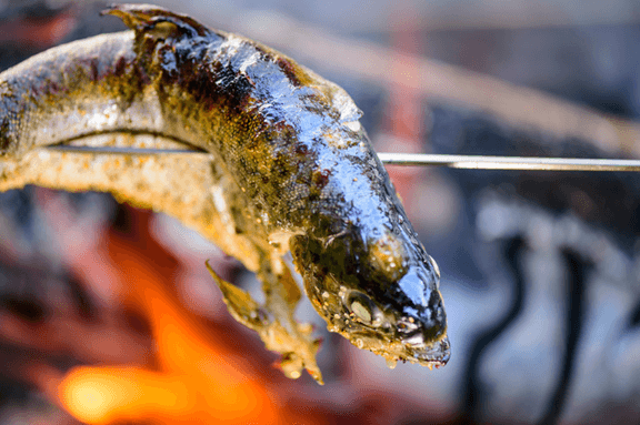 Best Grilled Trout Recipes4
