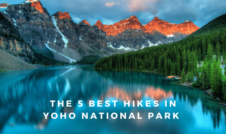 Best Hikes in Yoho National Park