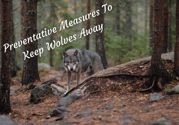 How To Keep Wolves Away 2