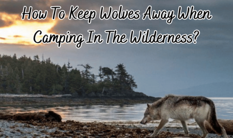 How To Keep Wolves Away