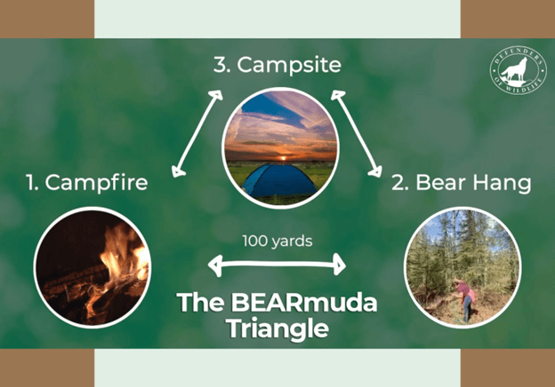 Keep Bears Away From Campsite1